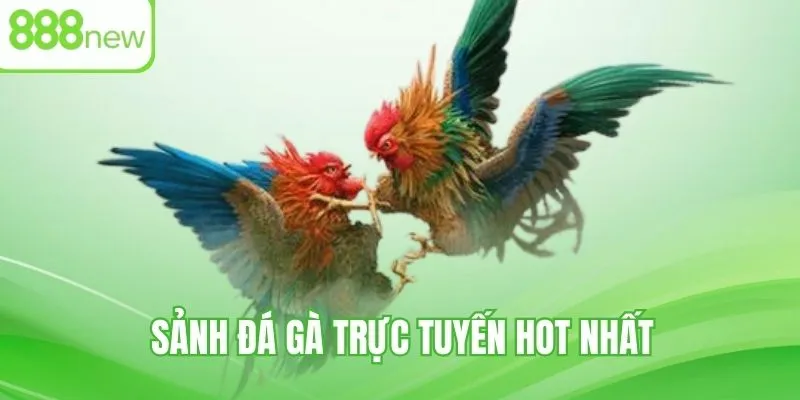 Những sảnh cá cược đá gà trực tuyến hay nhất